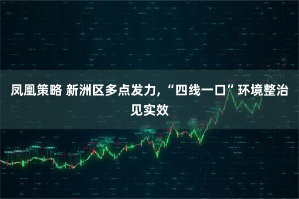 凤凰策略 新洲区多点发力, “四线一口”环境整治见实效