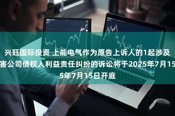 兴旺国际投资 上能电气作为原告上诉人的1起涉及股东损害公司债权人利益责任纠纷的诉讼将于2025年7月15日开庭